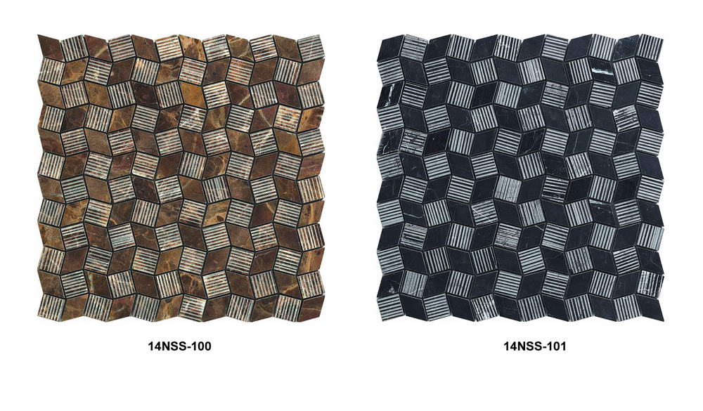 排序4   14NSS-100   14NSS-101